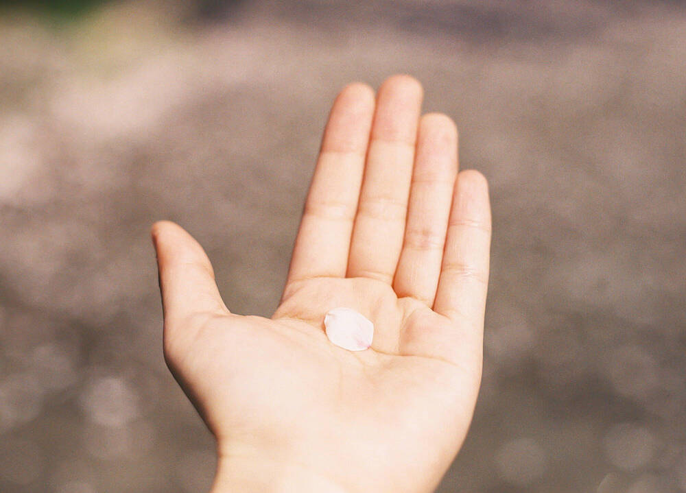 ブログ写真