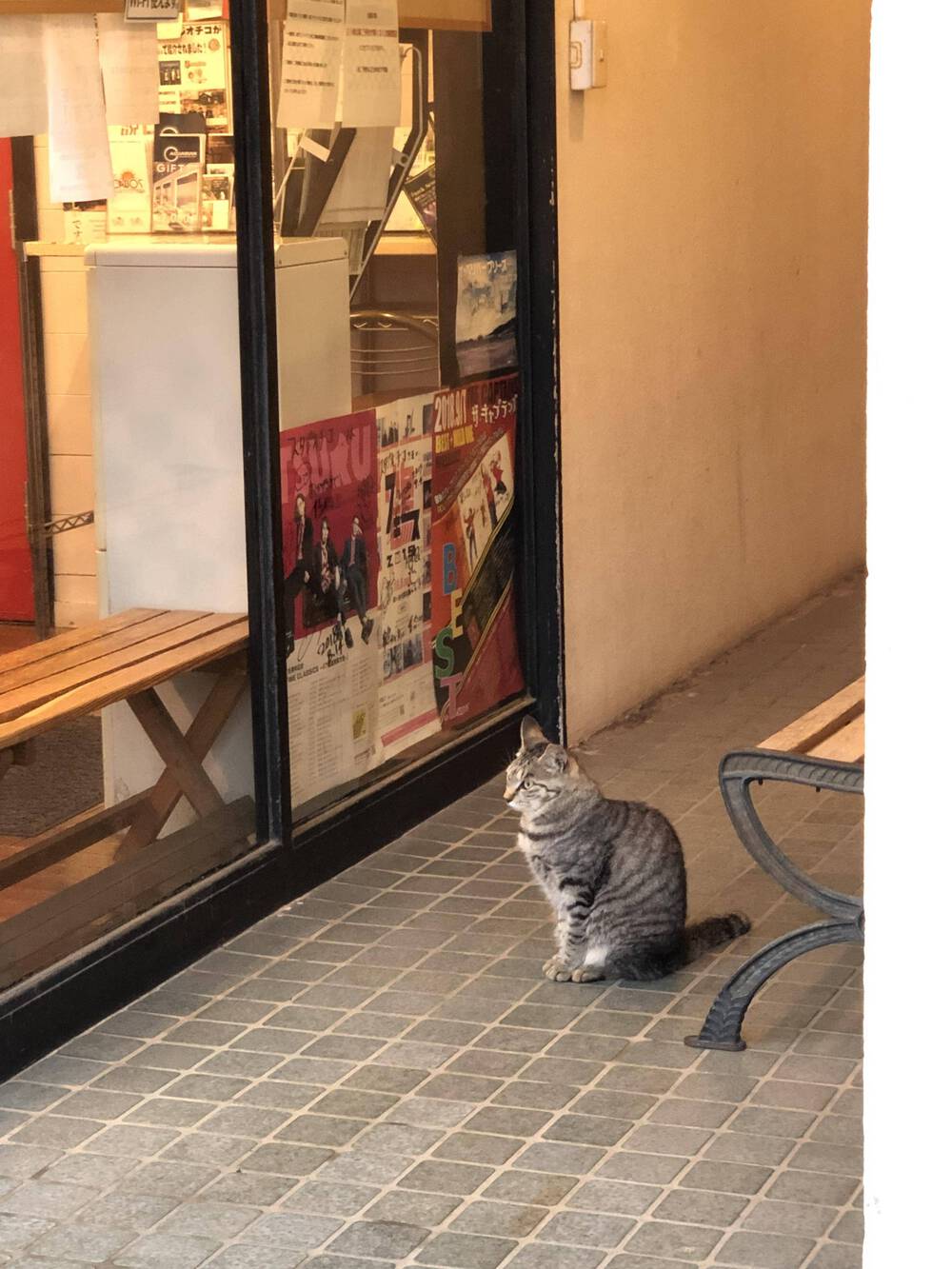 ブログ写真