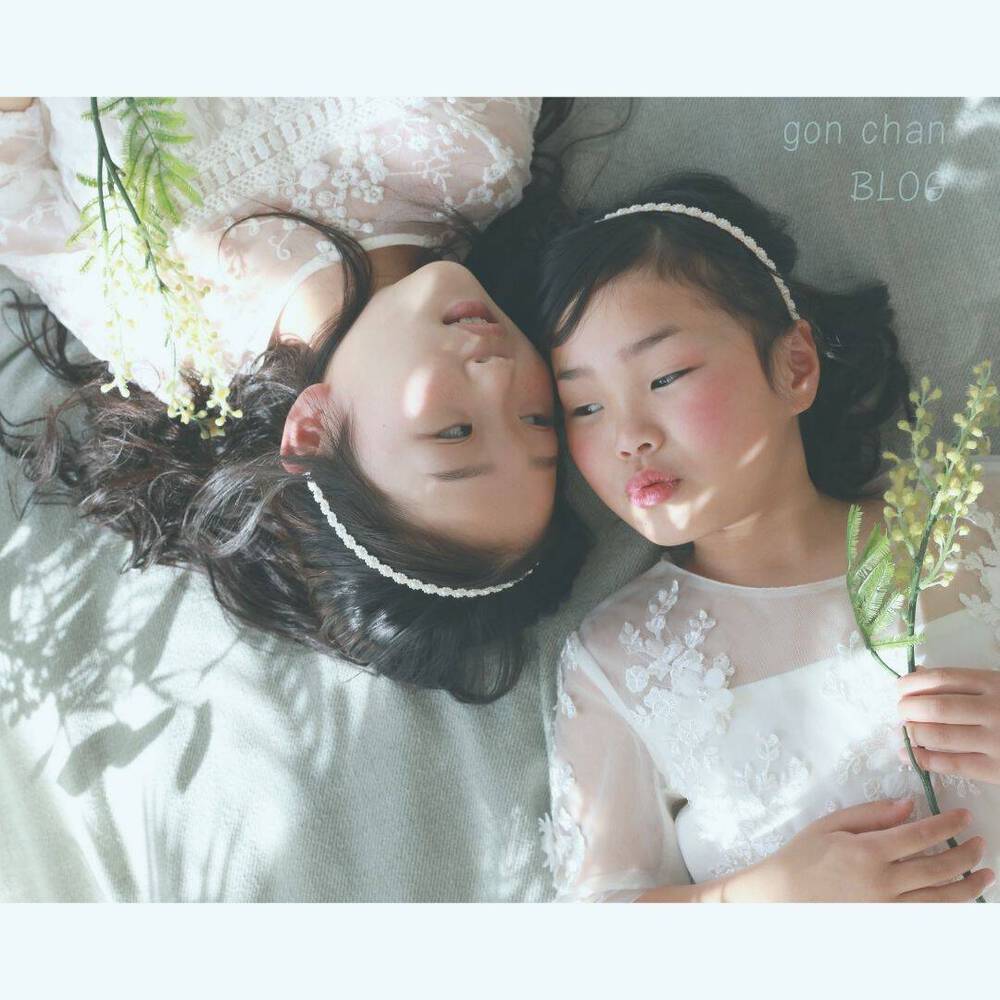 ブログ写真