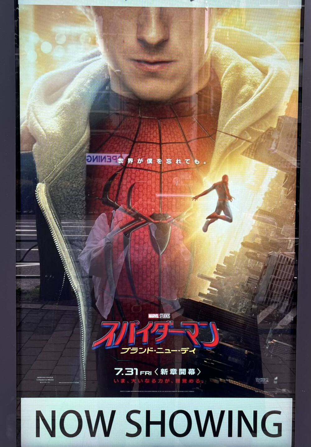 ブログ写真