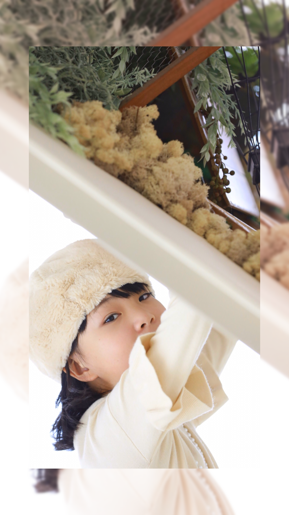 ブログ写真