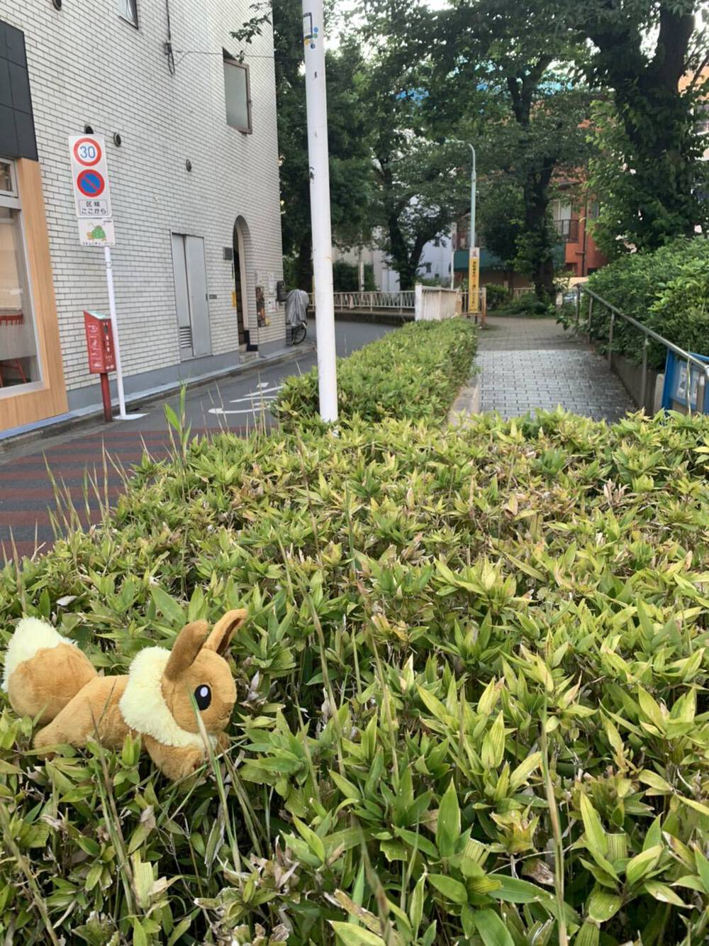ブログ写真