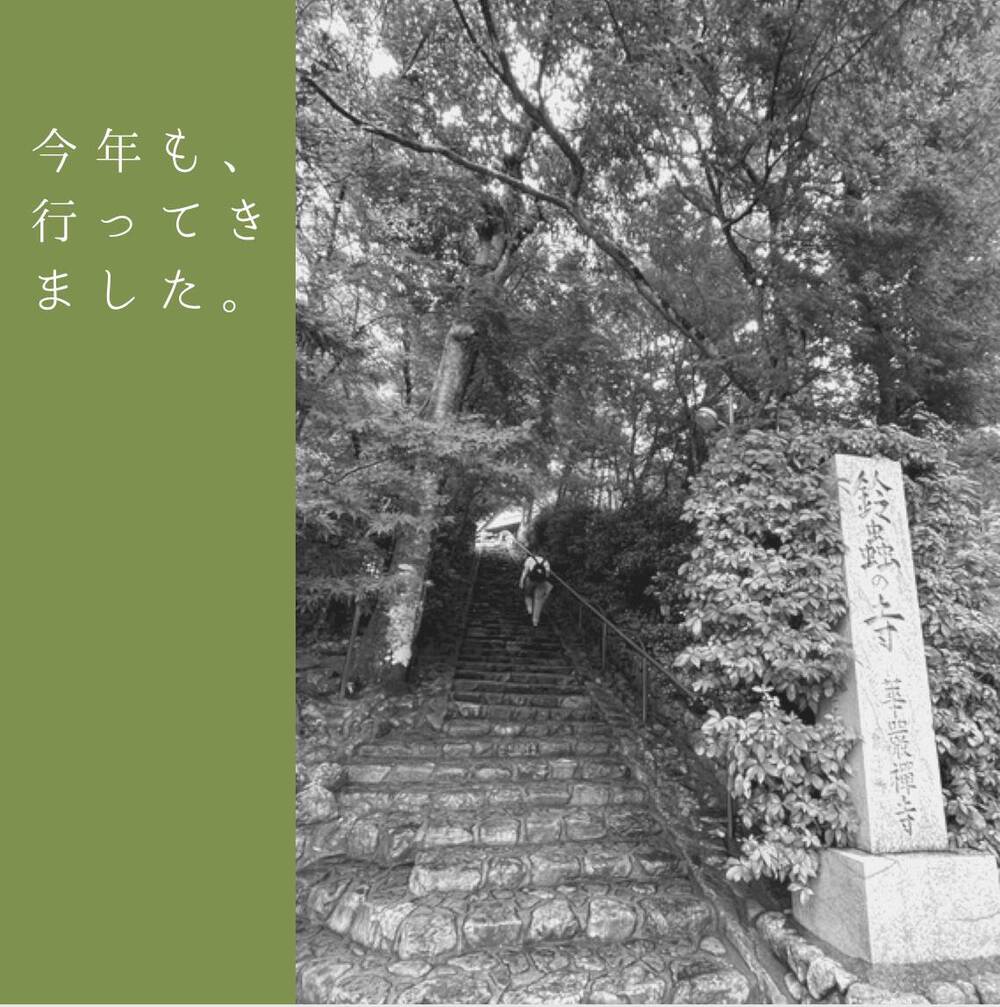 ブログ写真