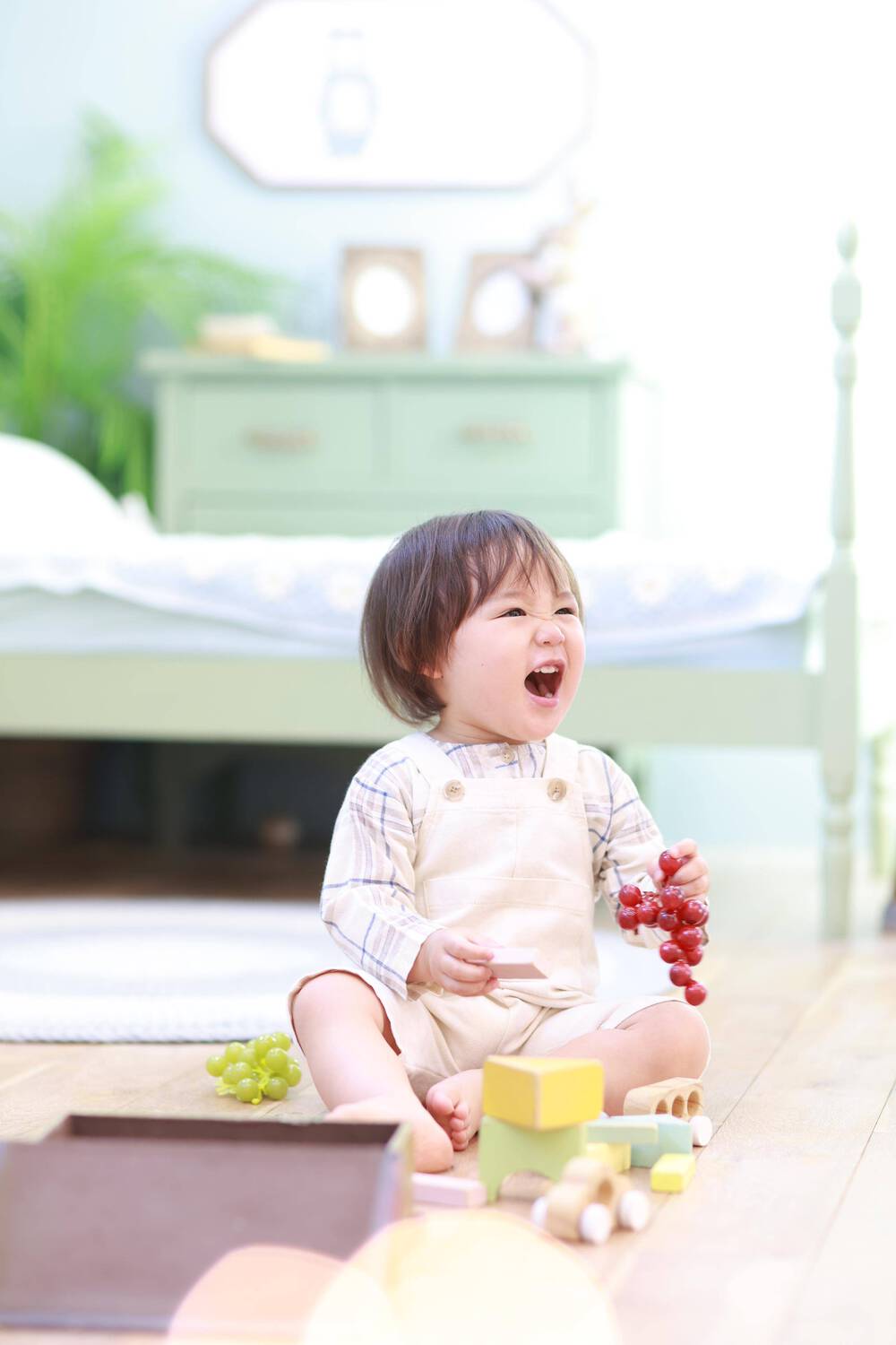 ブログ写真