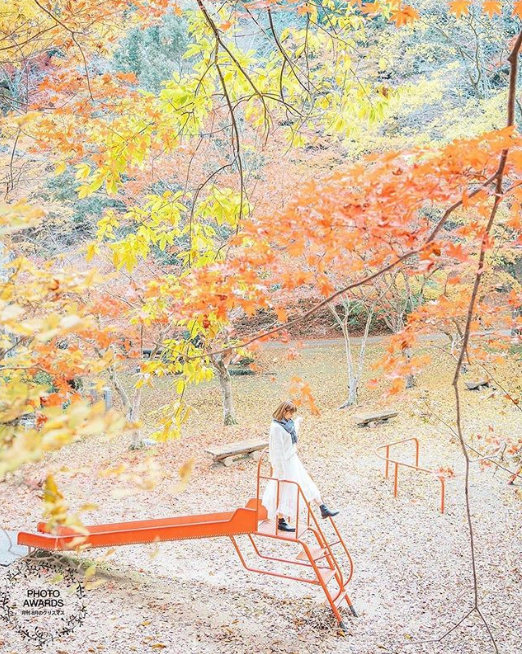 ブログ写真