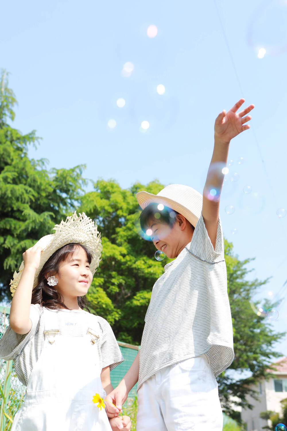 ブログ写真
