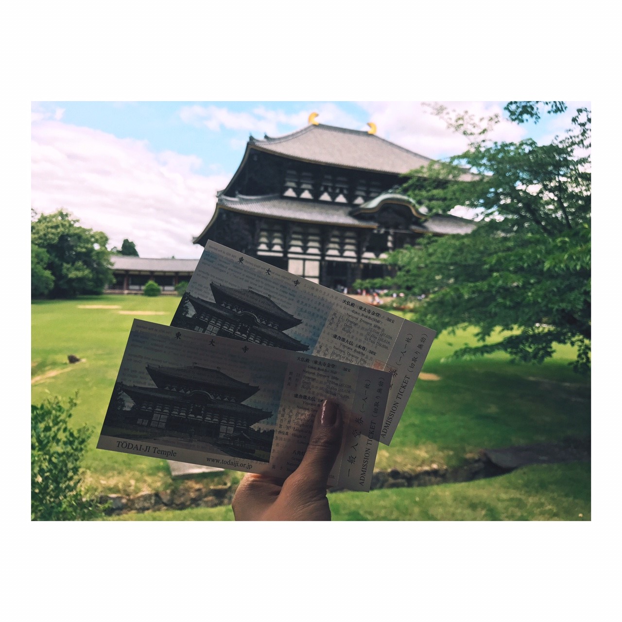 ブログ写真