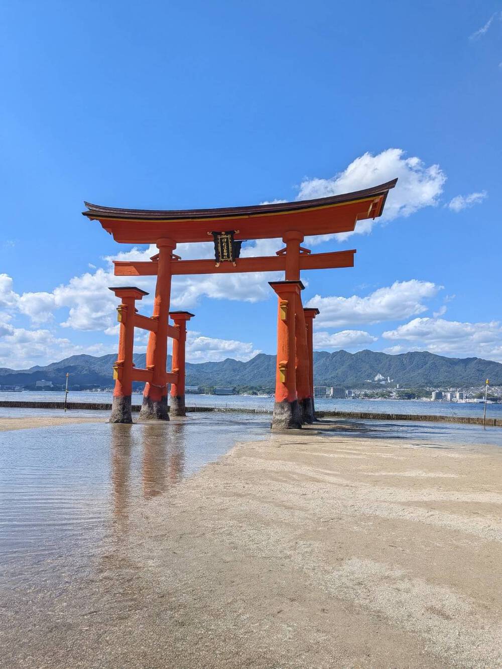 ブログ写真