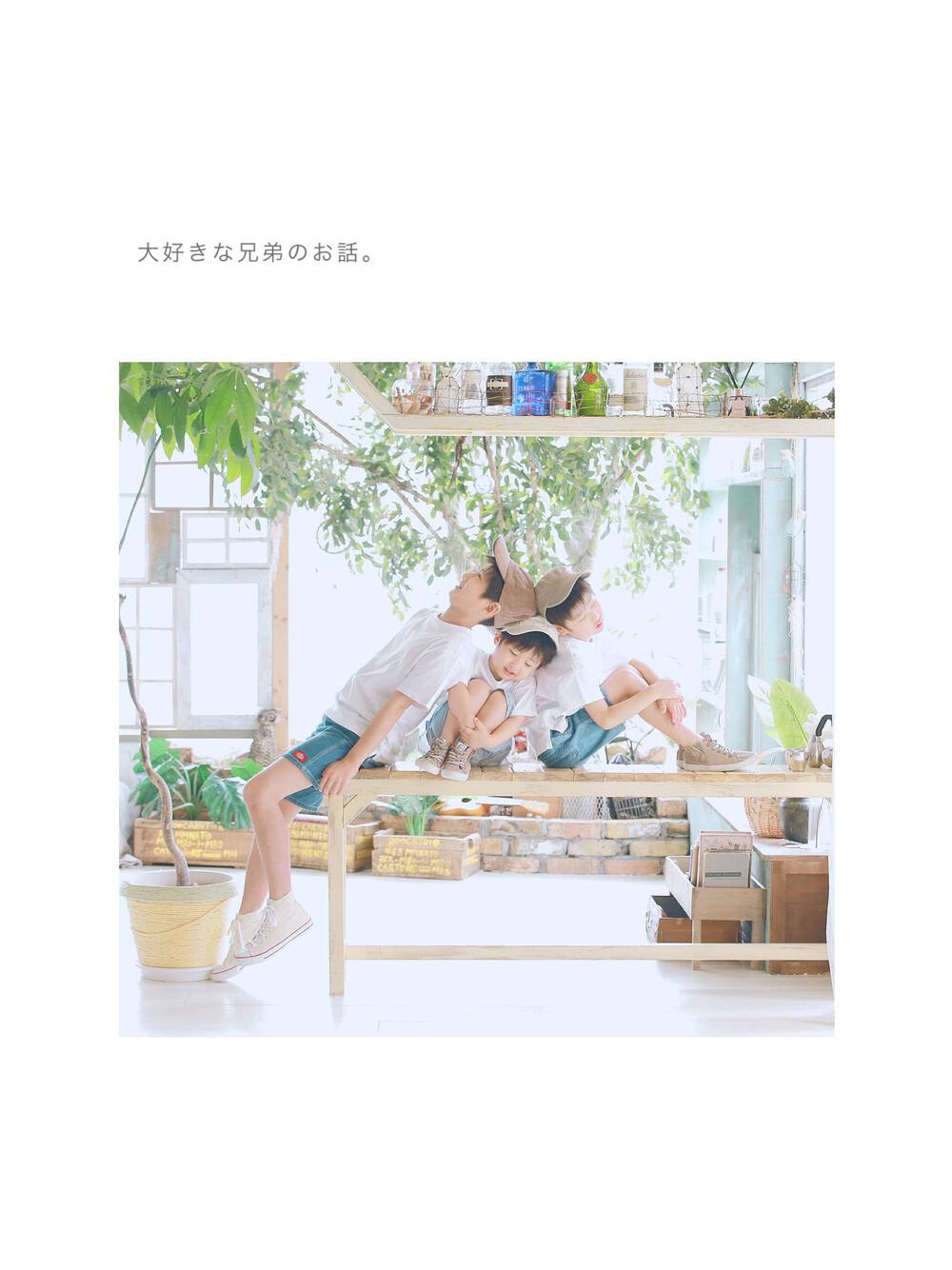 ブログ写真