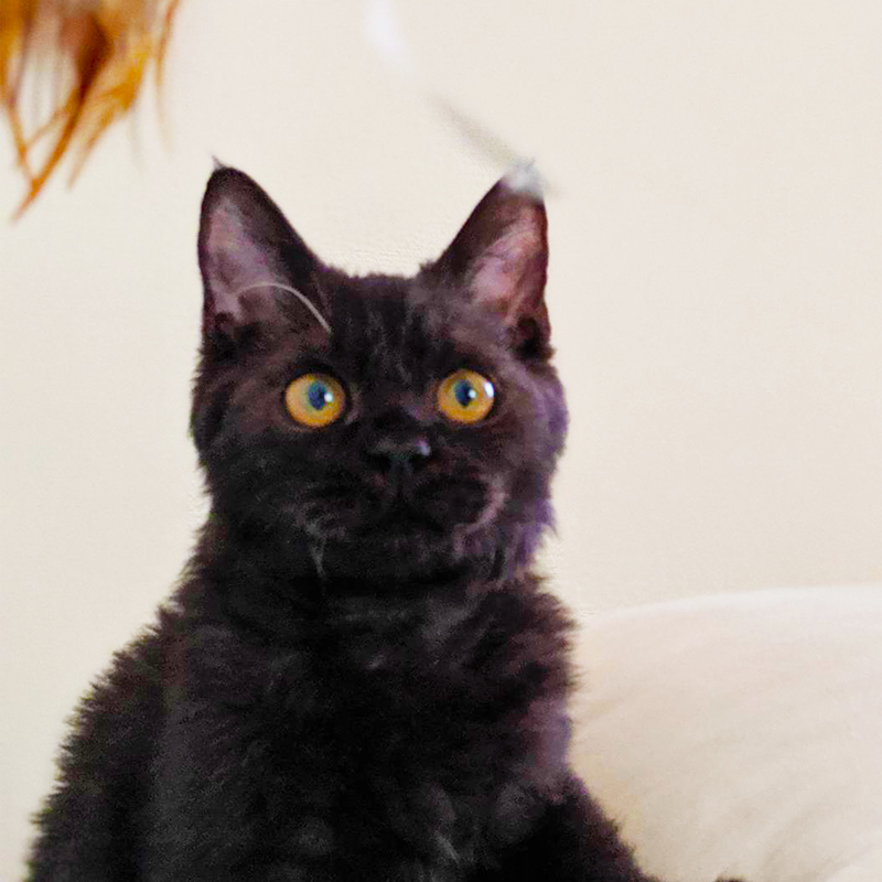 ブログ写真