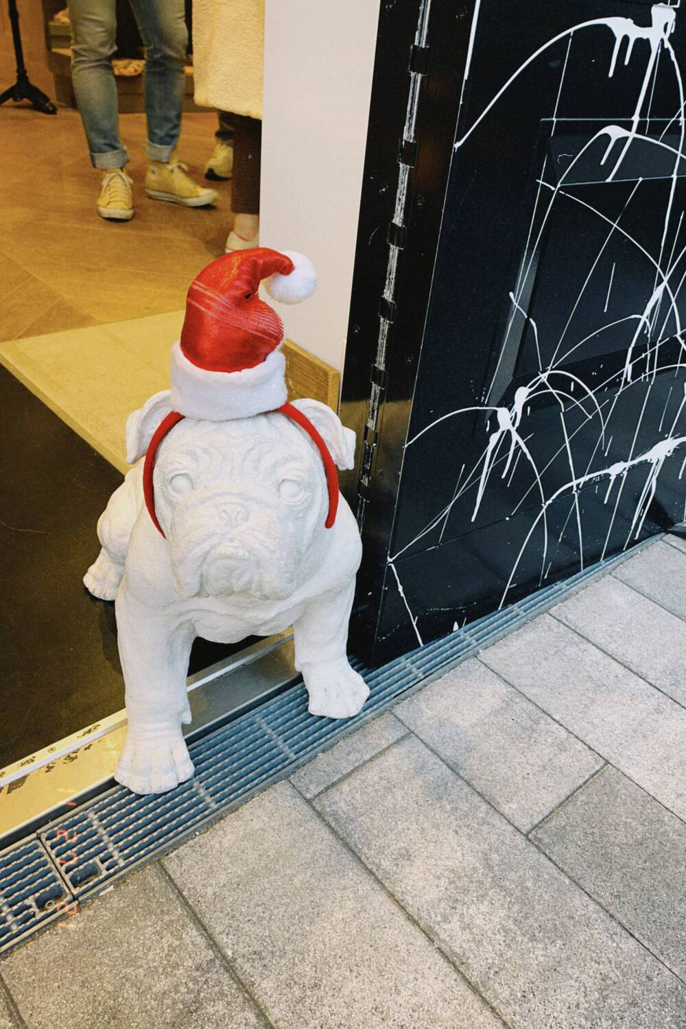 ブログ写真