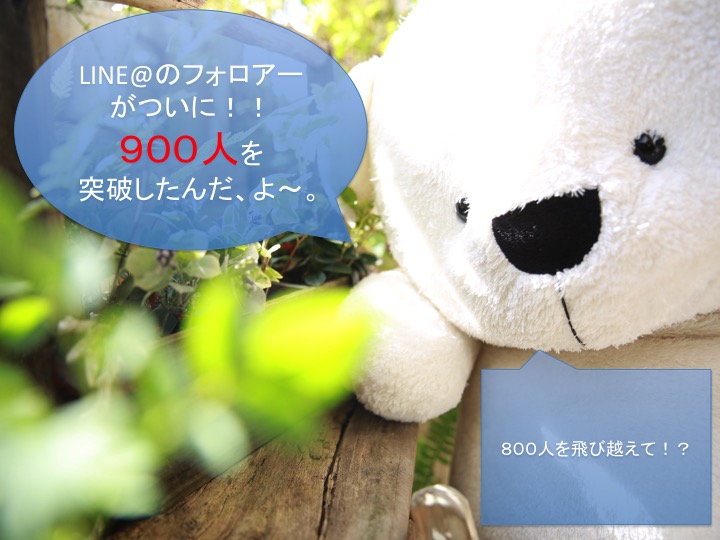 ブログ写真
