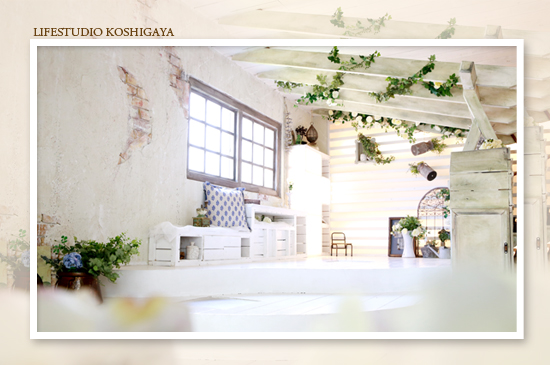 ブログ写真