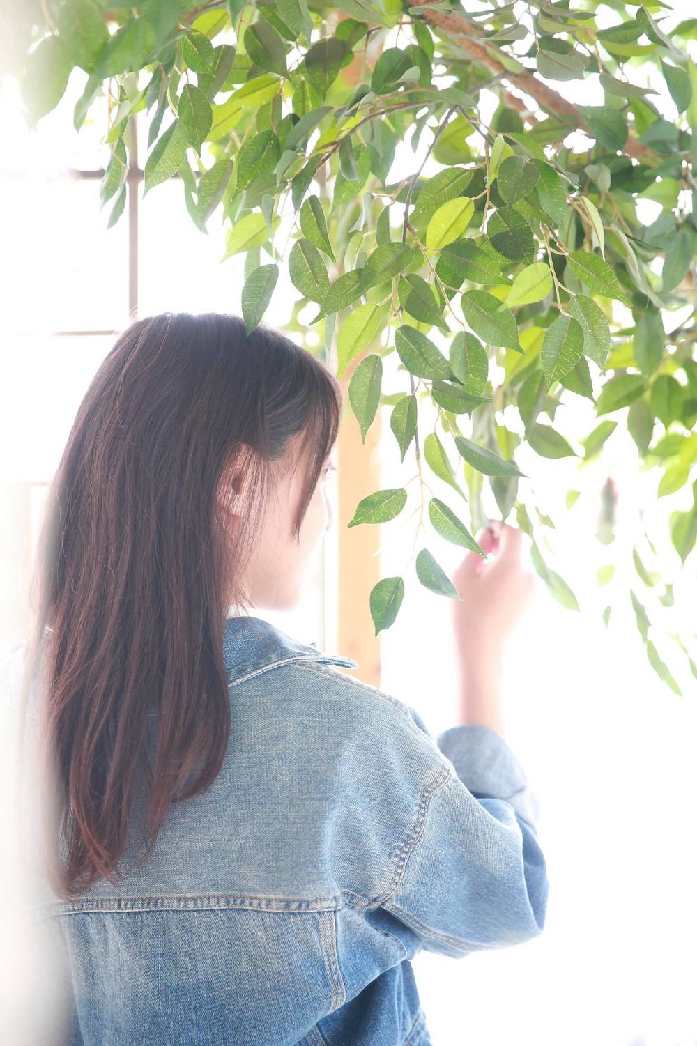 ブログ写真