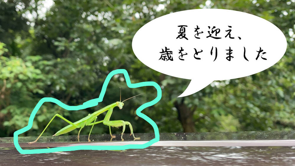 ブログ写真