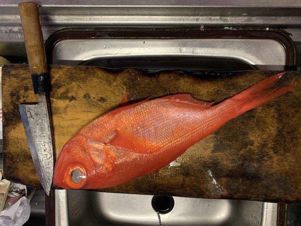ブログ写真
