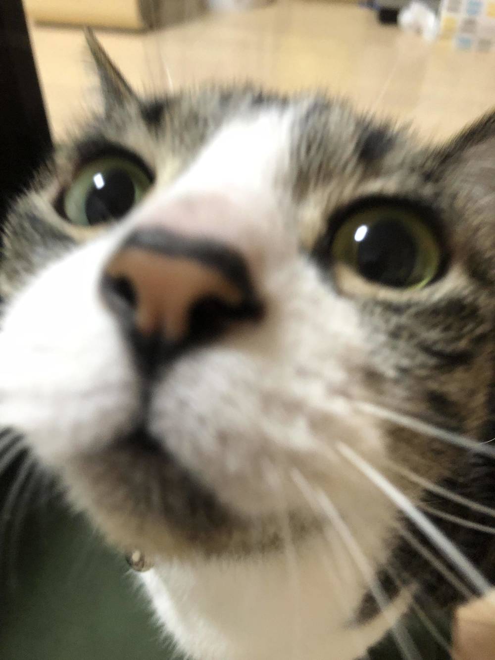 ブログ写真