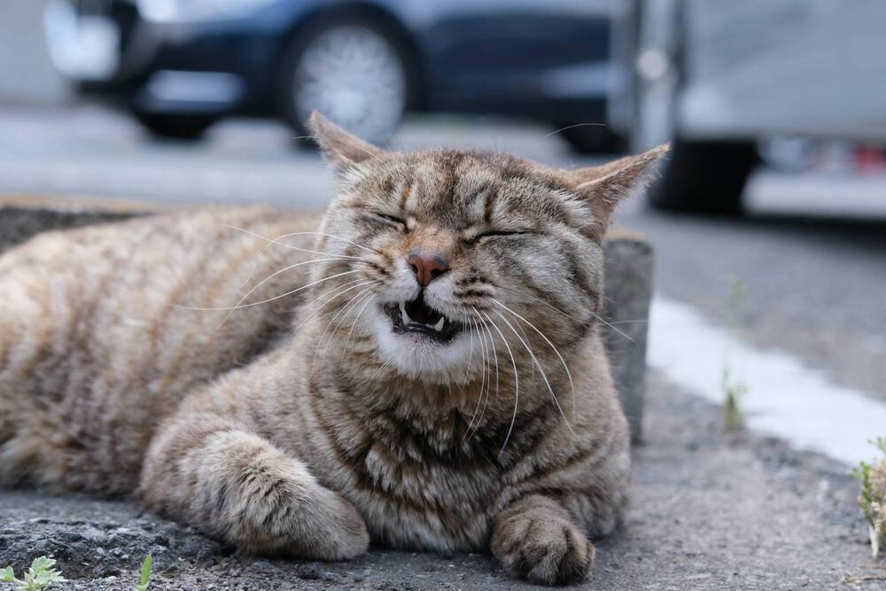 ブログ写真