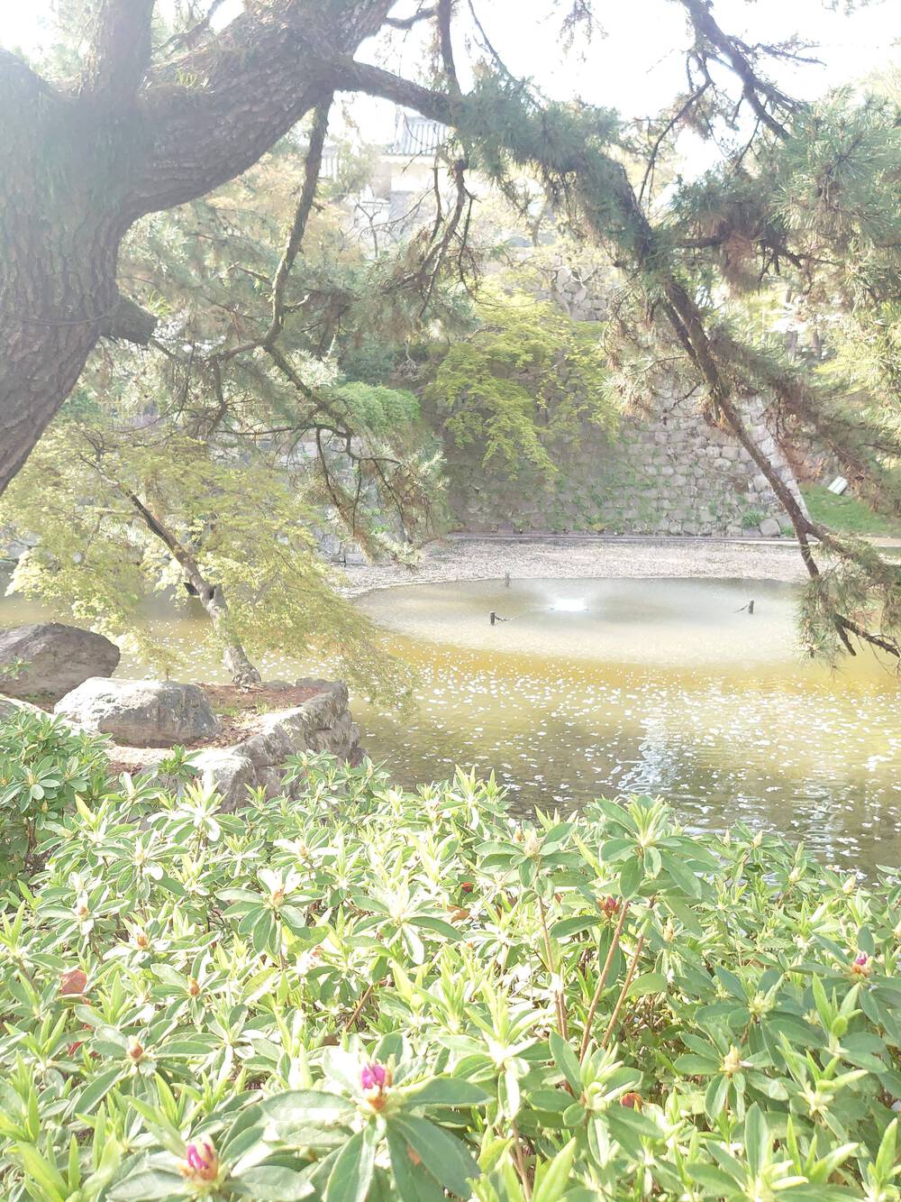 ブログ写真