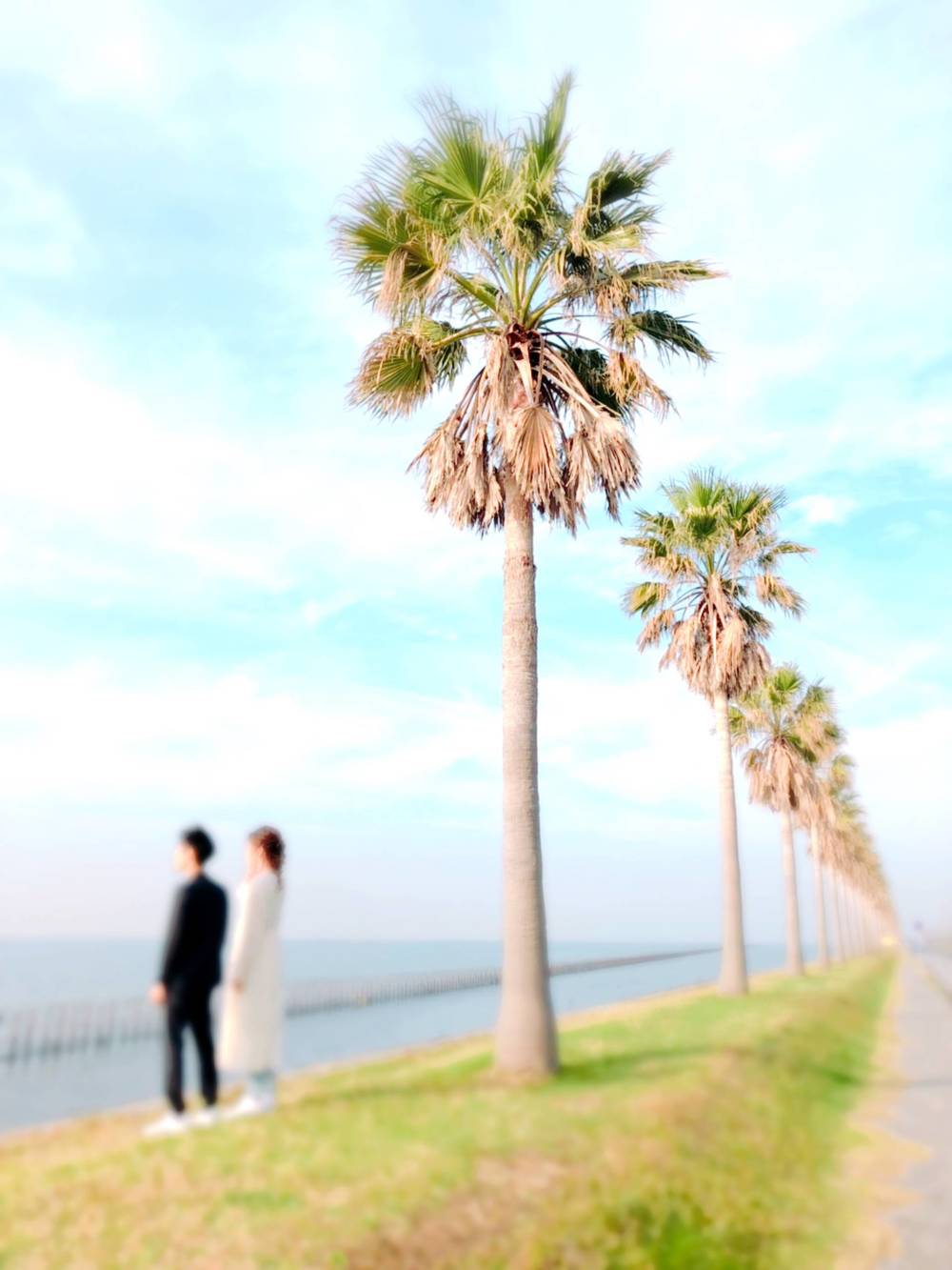 ブログ写真