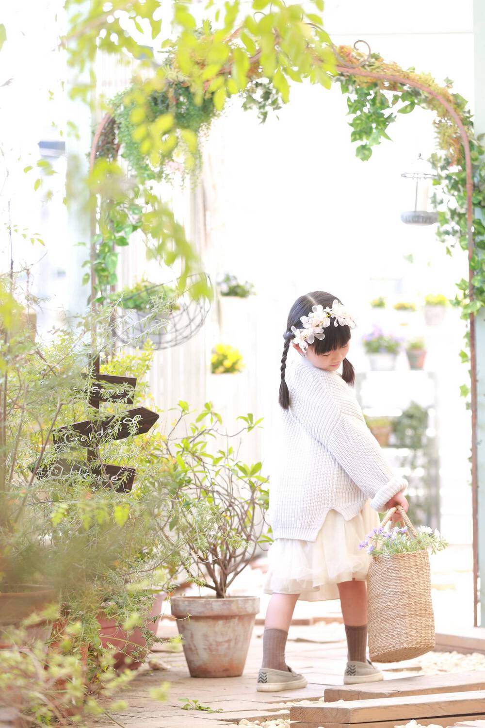 ブログ写真