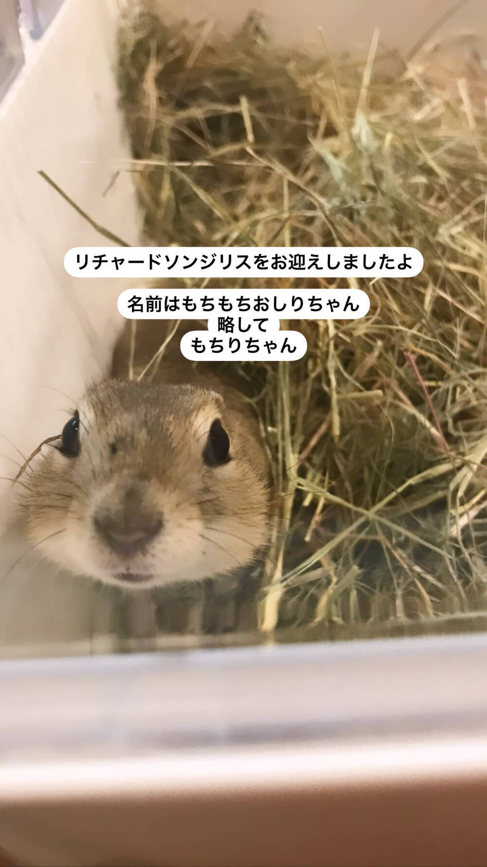 ブログ写真