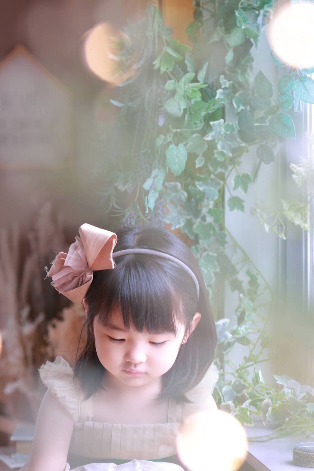 ブログ写真