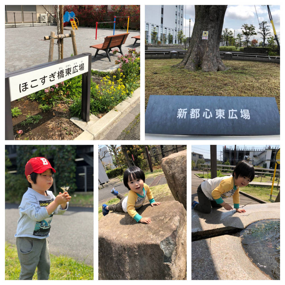ブログ写真