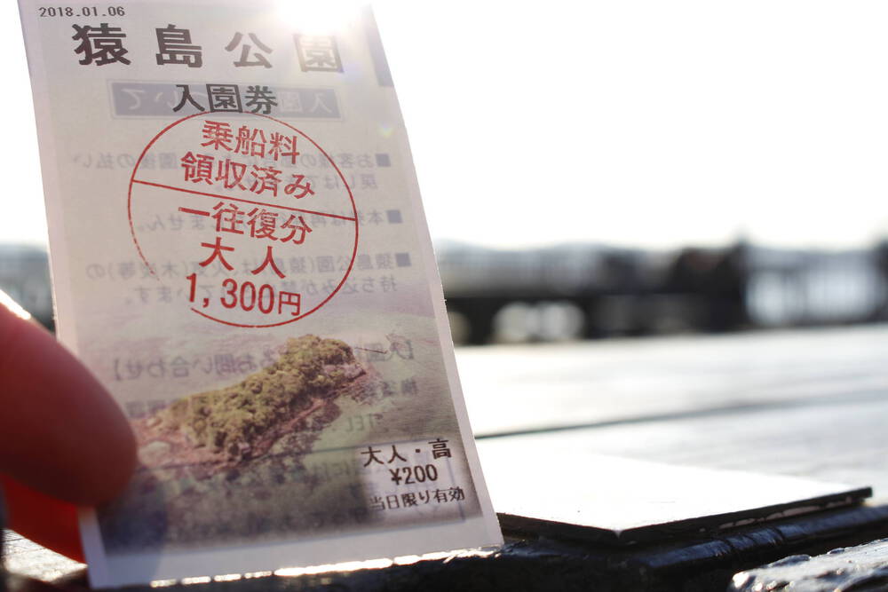 ブログ写真