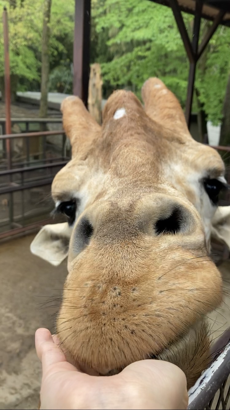 ブログ写真