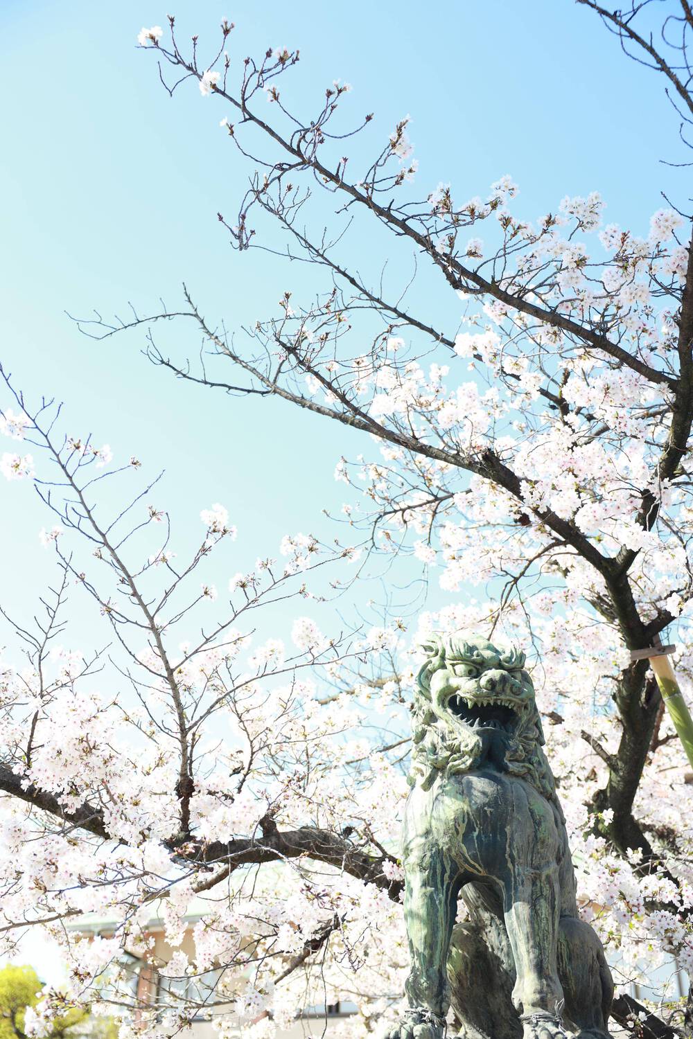 ブログ写真