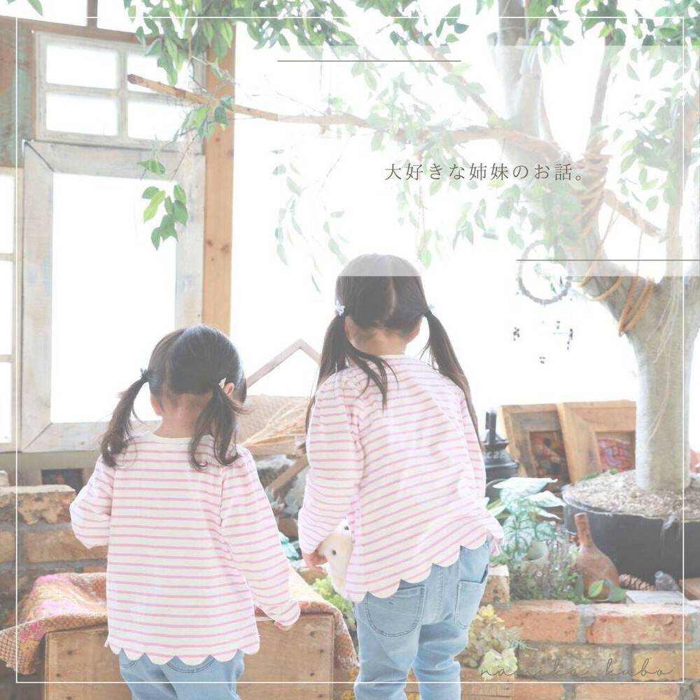 ブログ写真