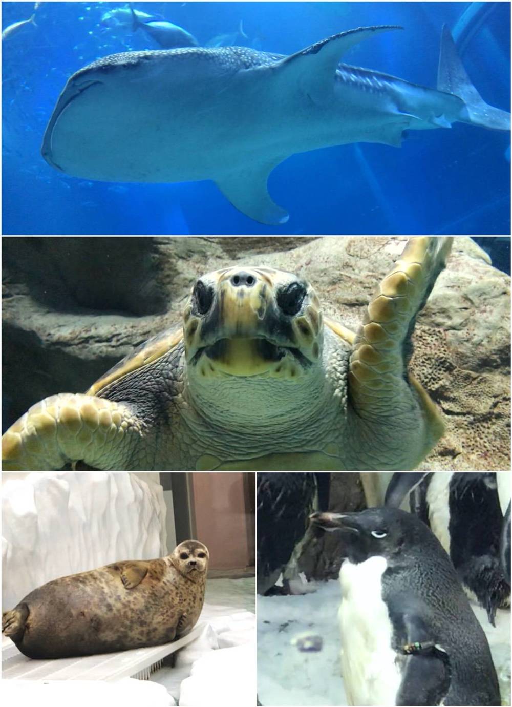 ブログ写真