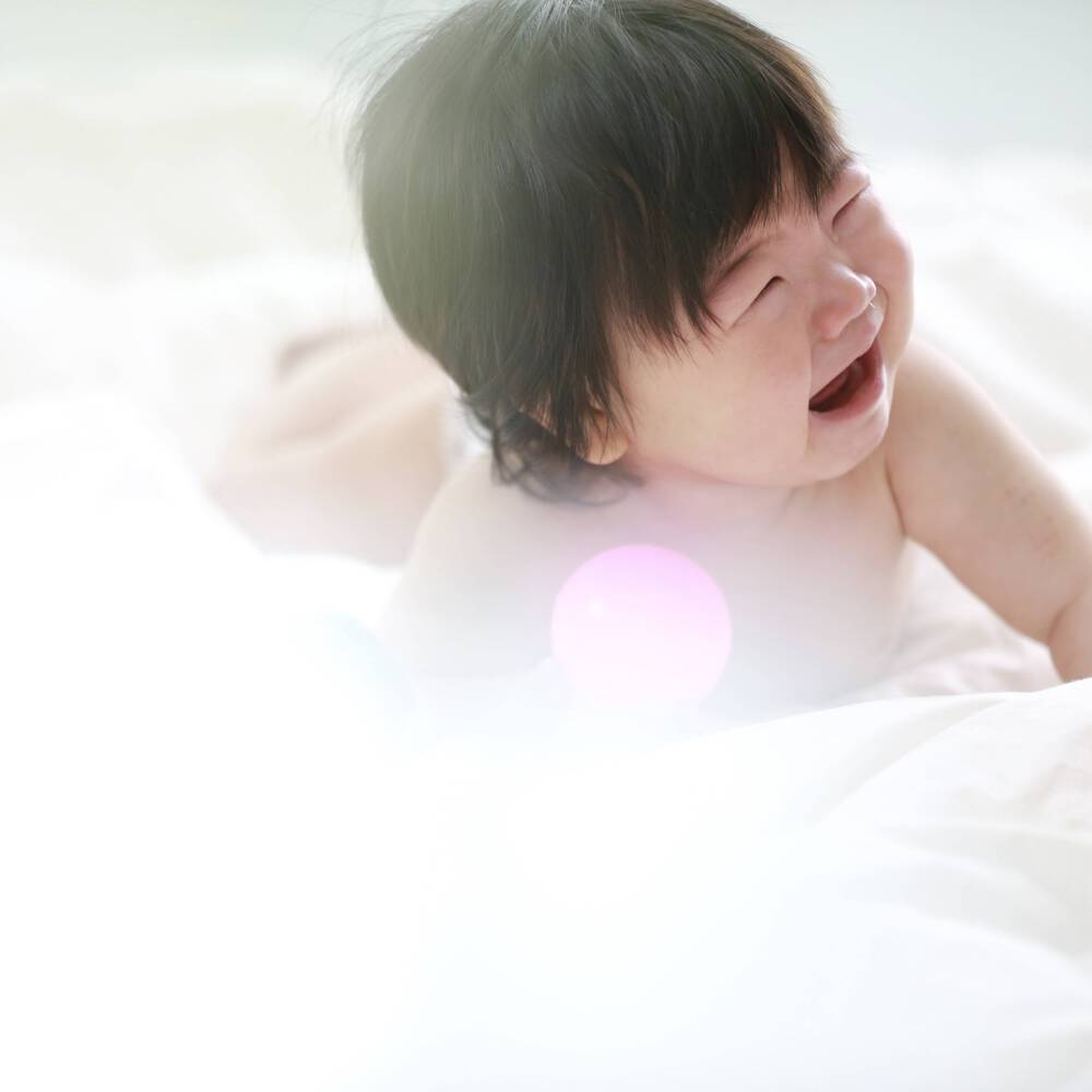 ブログ写真