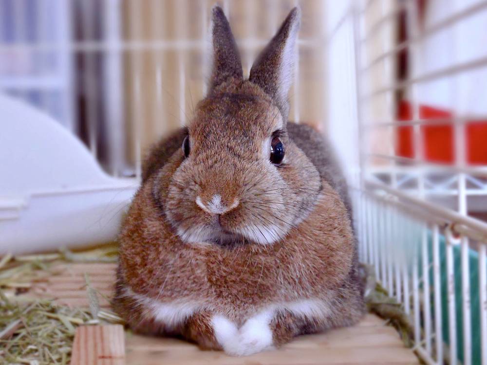 ブログ写真