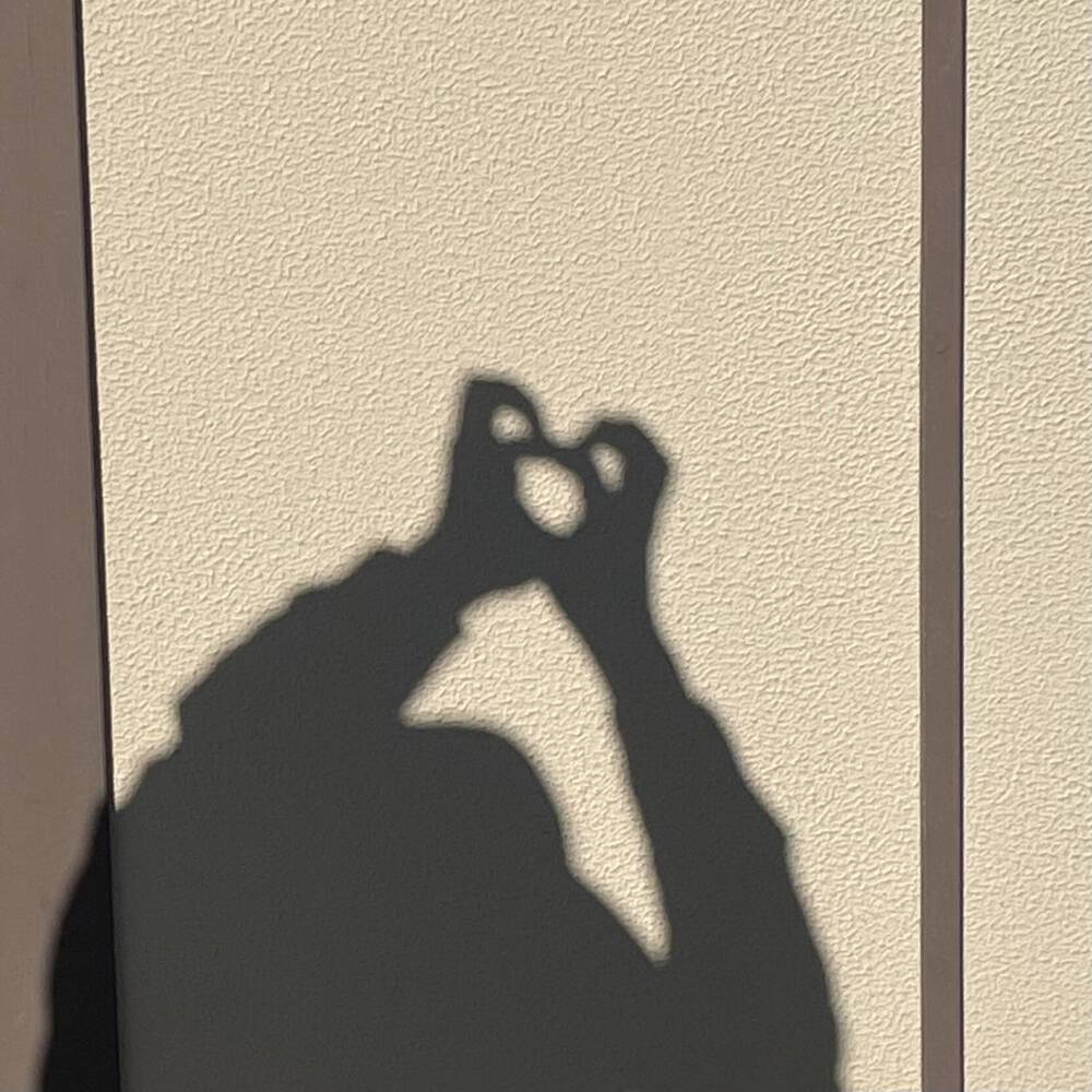 ブログ写真