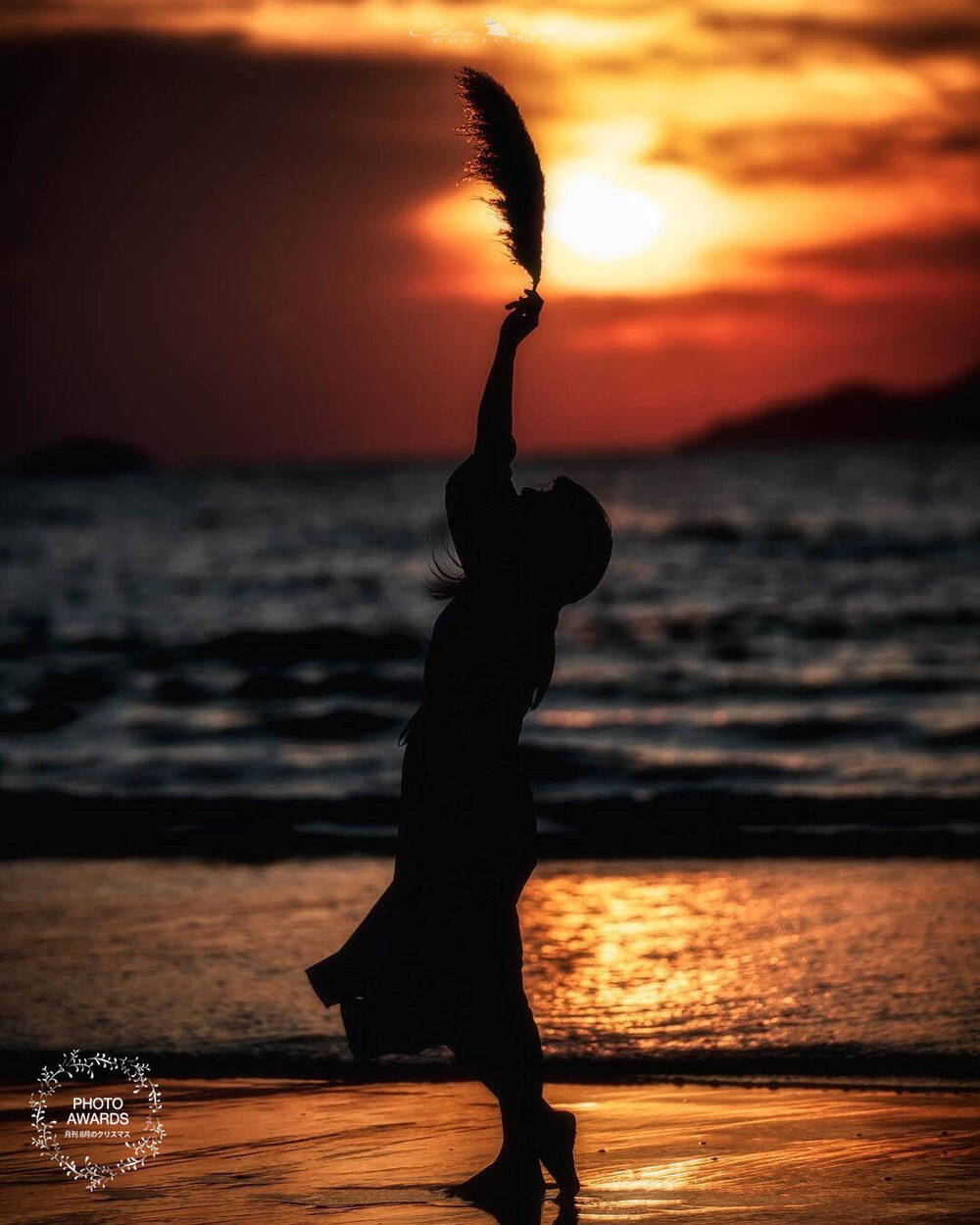 ブログ写真