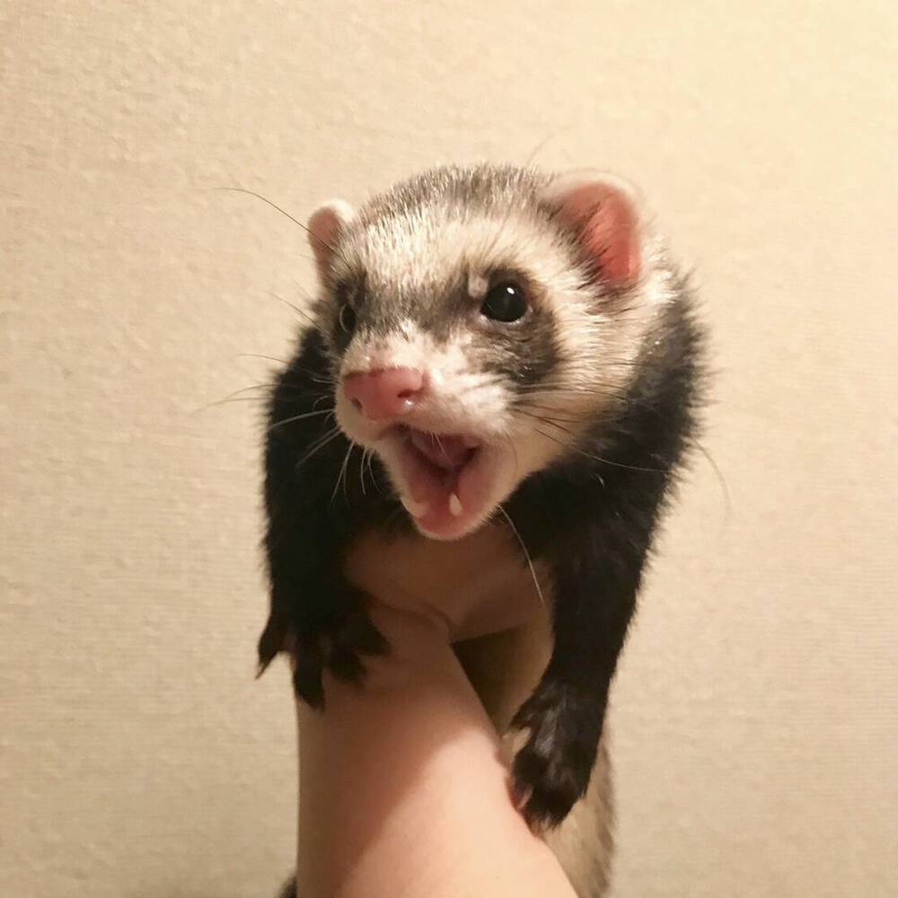ブログ写真