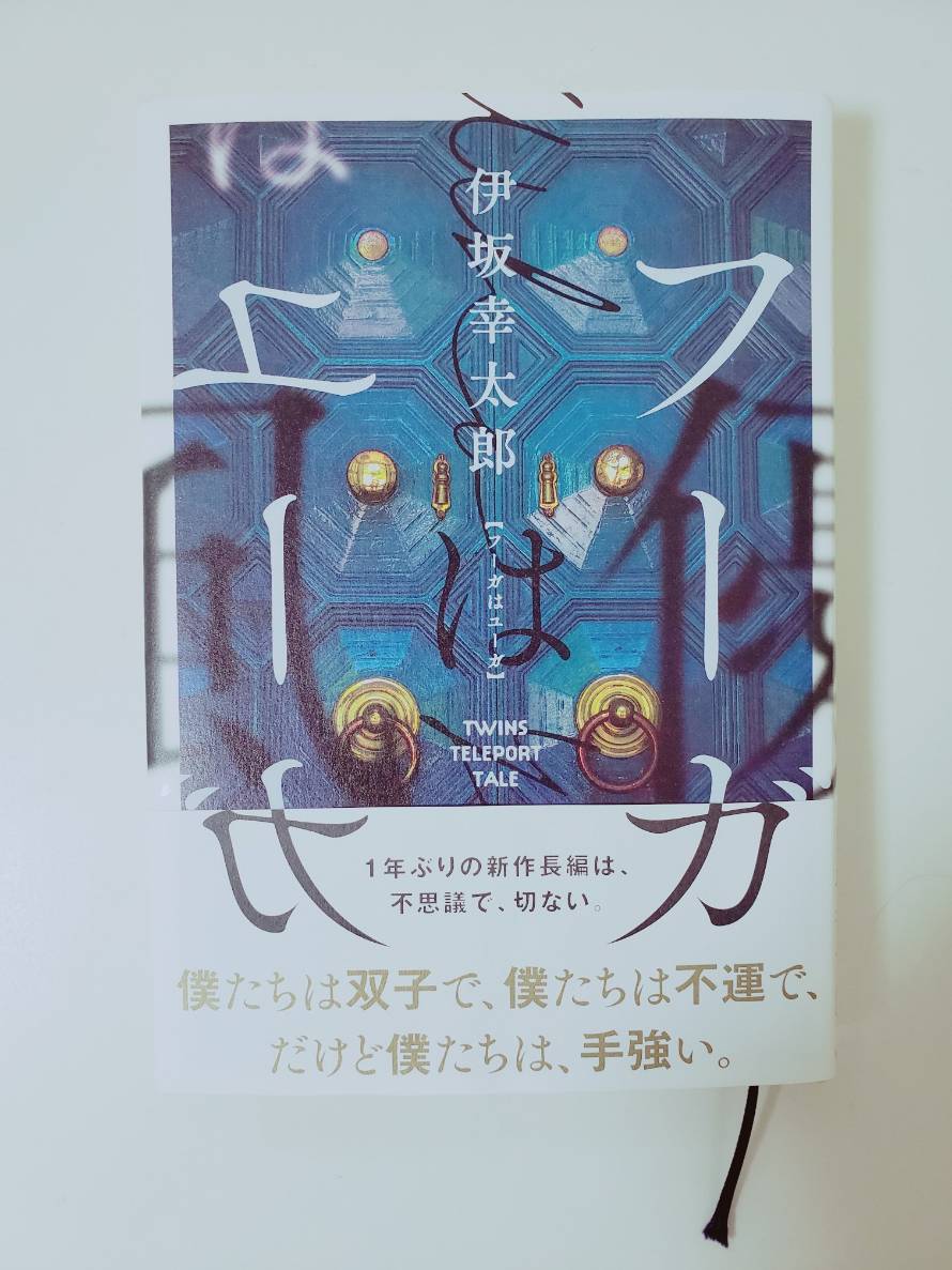 ブログ写真