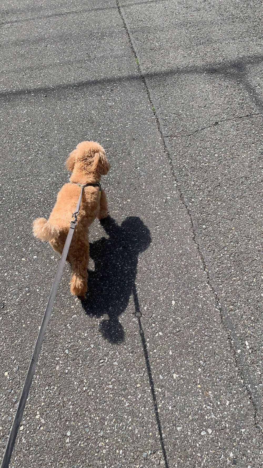 ブログ写真