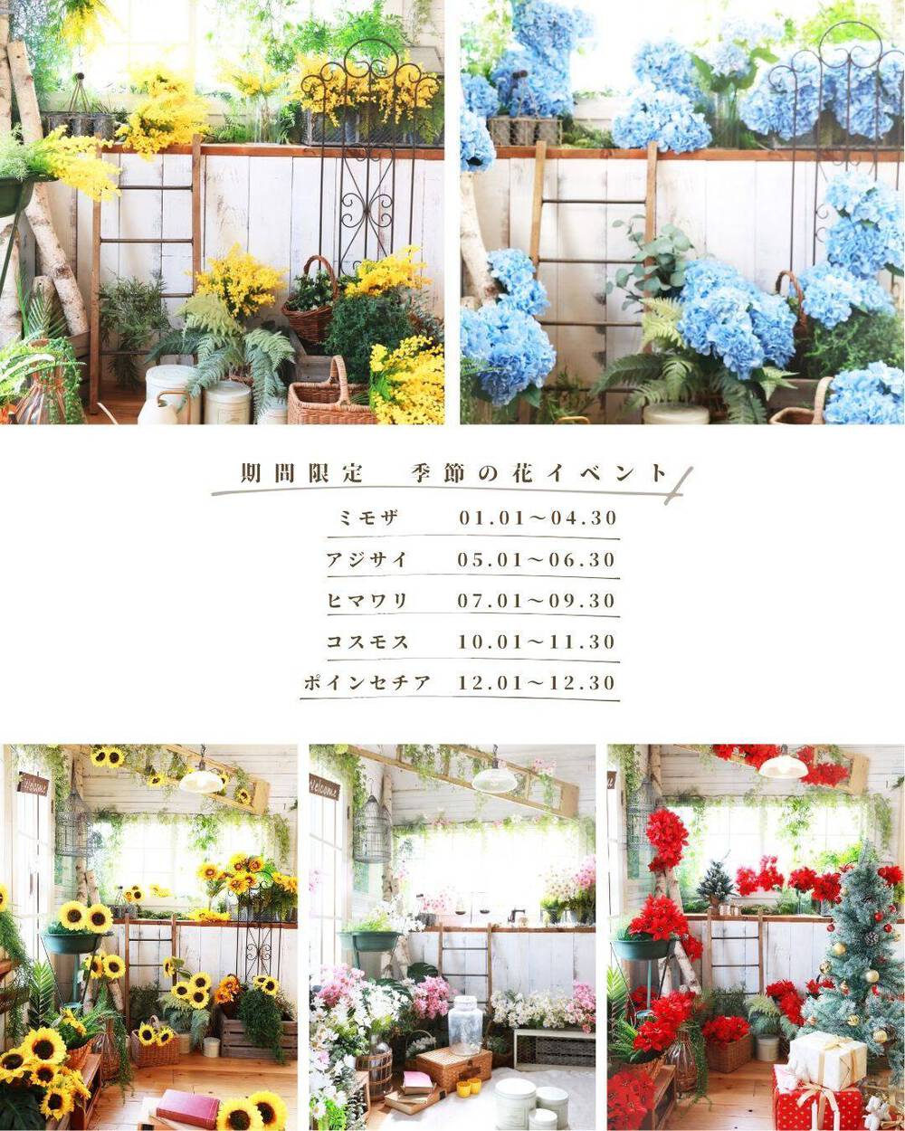 ブログ写真
