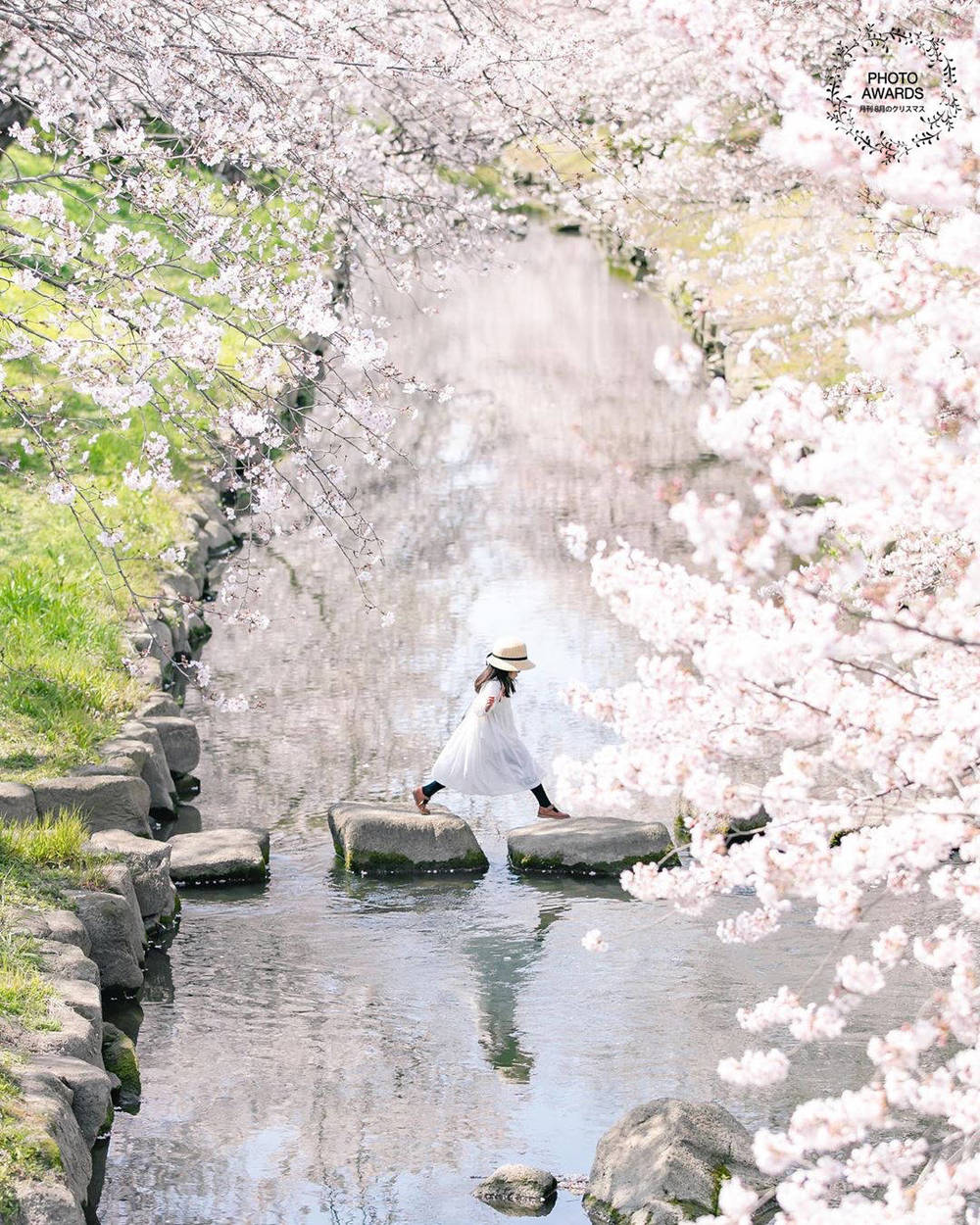 ブログ写真