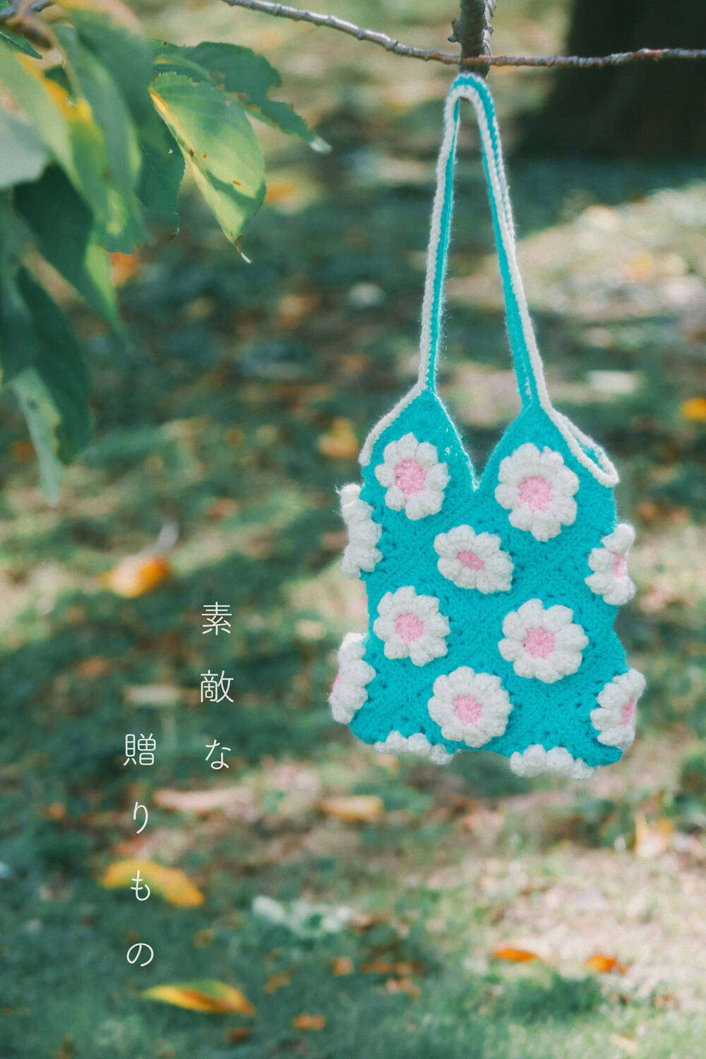 ブログ写真