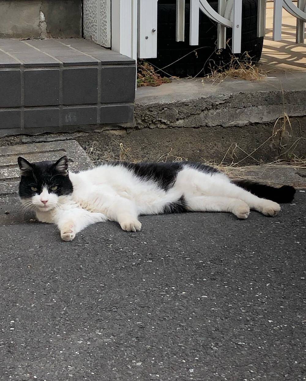 ブログ写真