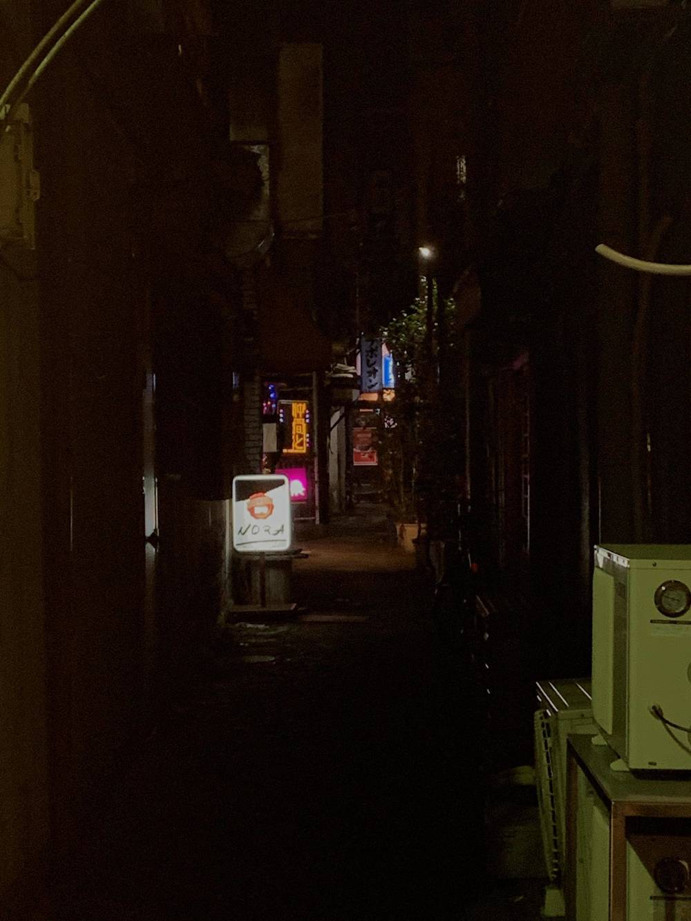 ブログ写真