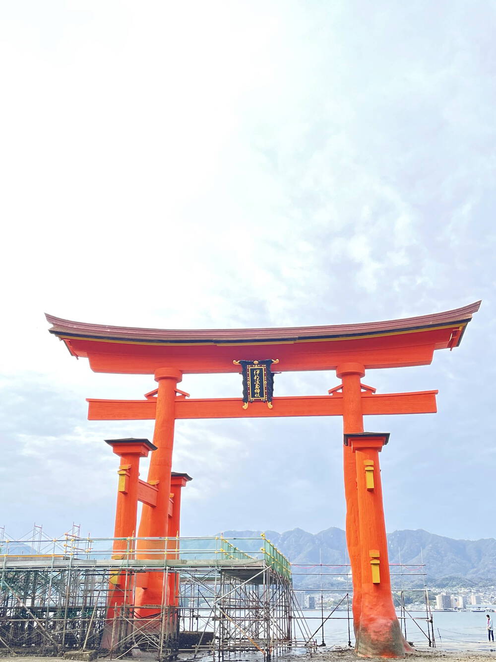 ブログ写真