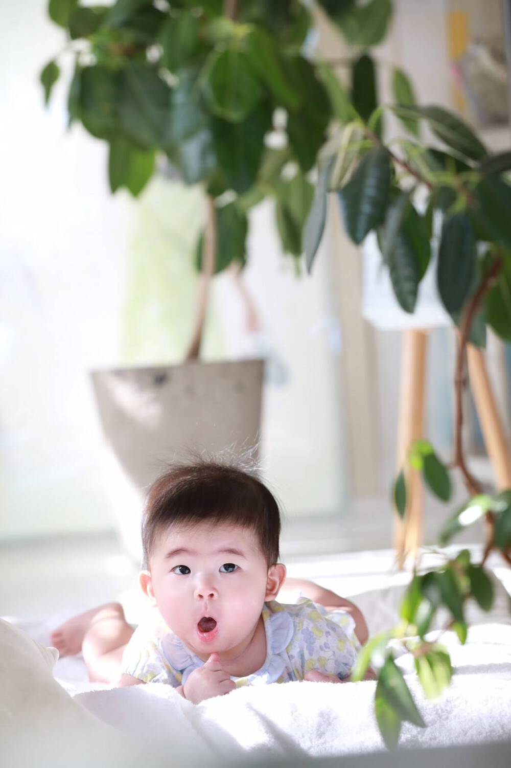 ブログ写真