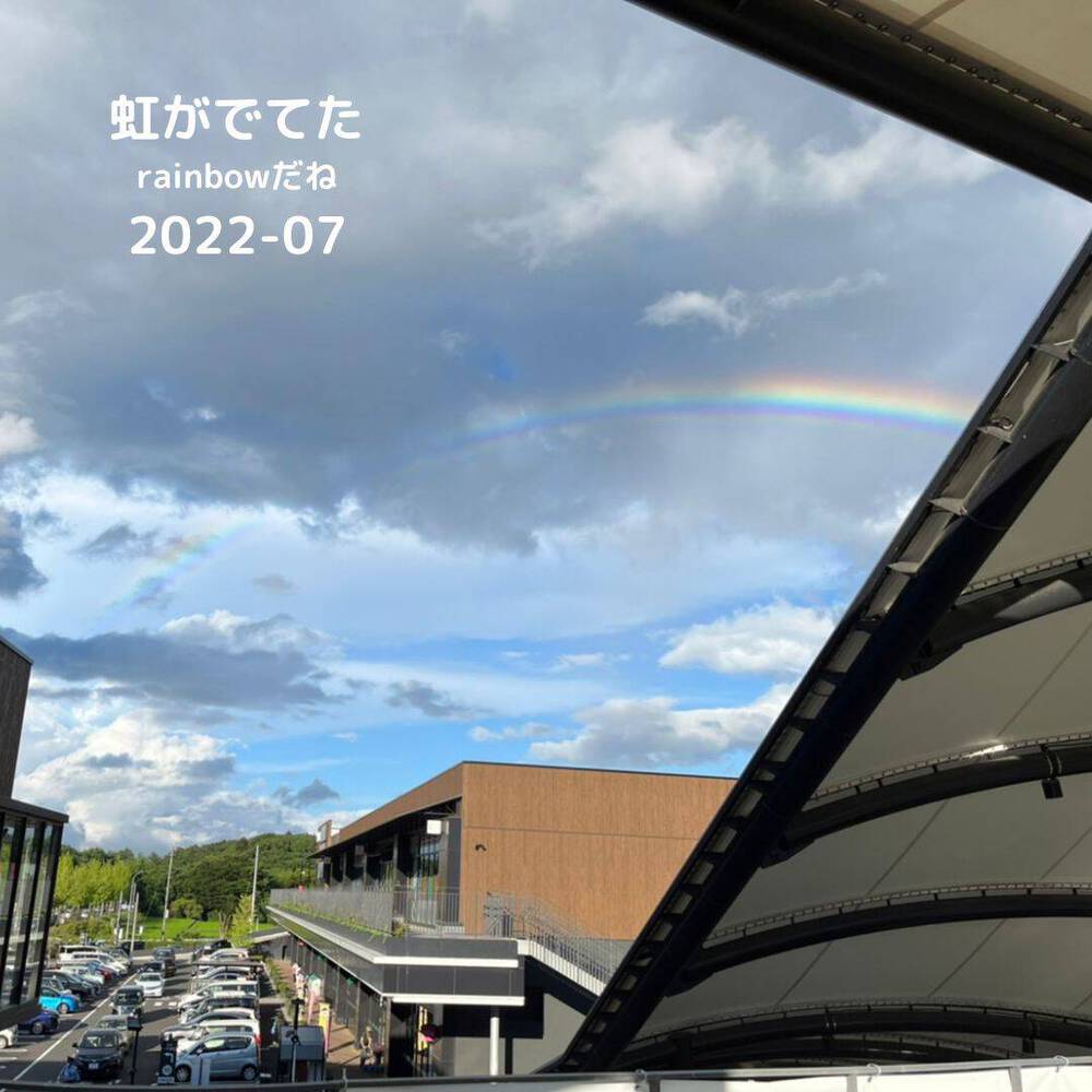 ブログ写真