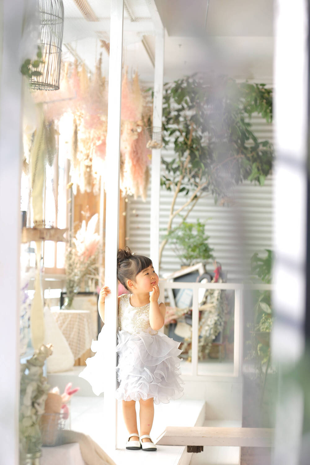 ブログ写真