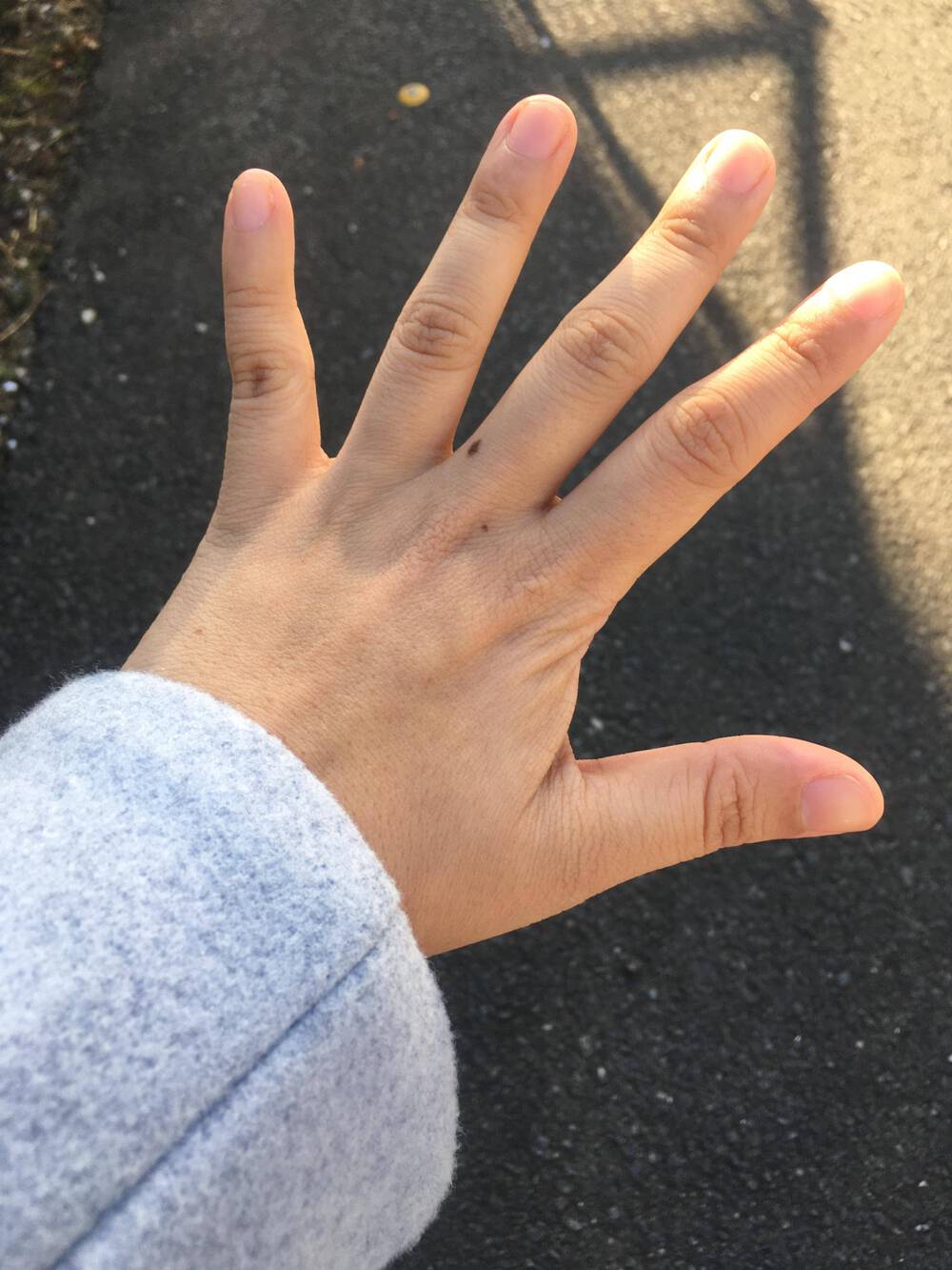 ブログ写真